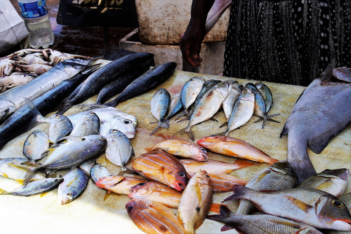 鱼市、鱼、海鲜、海洋、饮食、捕鱼场所、摊位、动物