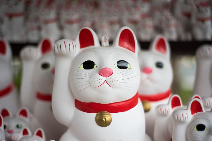 猫，雕像，日本，展示，收藏，表现，动物表现，白色