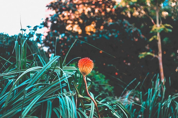 巴塞罗那，西班牙，城市，五颜六色，天空，风景，秋天，秋天