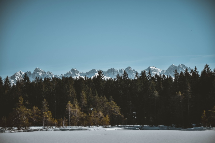 雪山，风景摄影，山，蓝，天，山，森林，树