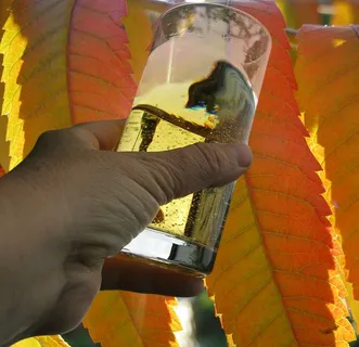 品酒、葡萄酒、葡萄酒收获、新葡萄酒、年份、玻璃杯、葡萄、味觉