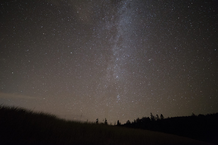 黑色、棕色、草、灰色、山脉、夜晚、紫色、星星