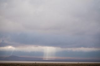 非洲，火山口，ngorongoro火山口，联合国教科文组织，斑马，美丽，云天，天空