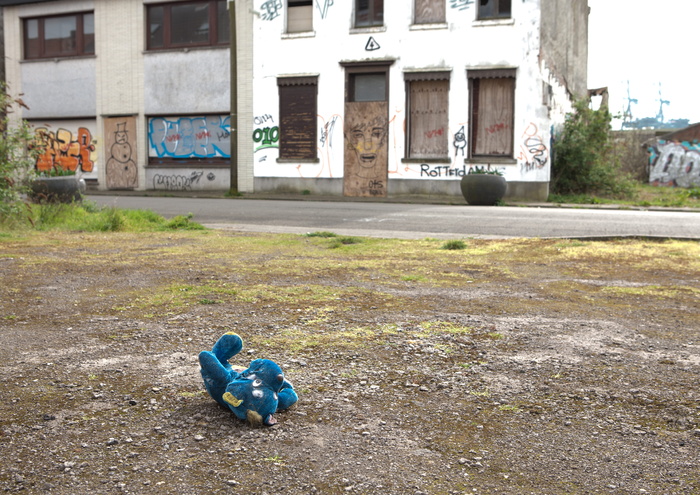 doel，服装，服饰，动物，鸟类，废弃村庄，比利时，土路