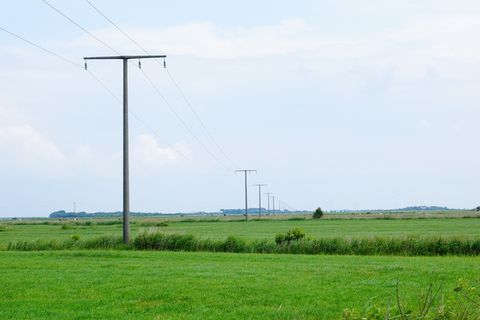 草地、绿色、地平线、电线杆、电力线、电力、环境、景观