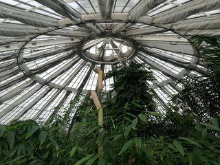 哥本哈根，植物学，园林，植物，生长，低角度视野，无人，建筑