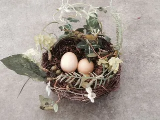 巢，蛋，动物巢，食物，没有人，自然，脆弱，脆弱