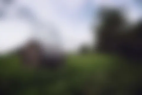 模糊,背景,背景,模糊,散焦,草,成人,人,一群人 模糊,背景,背景,模糊,散焦,草,成人,人,一群人