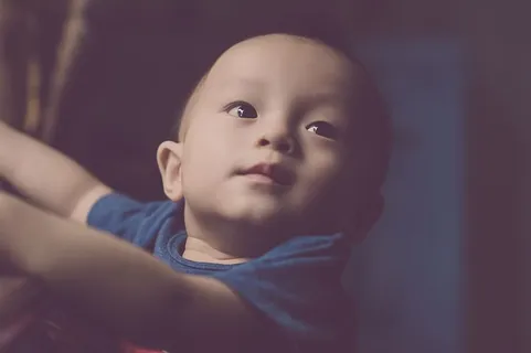 蹒跚学步,可爱,可爱,婴儿,男孩,孩子,肖像,孩子 蹒跚学步,可爱,可爱,婴儿,男孩,孩子,肖像,孩子