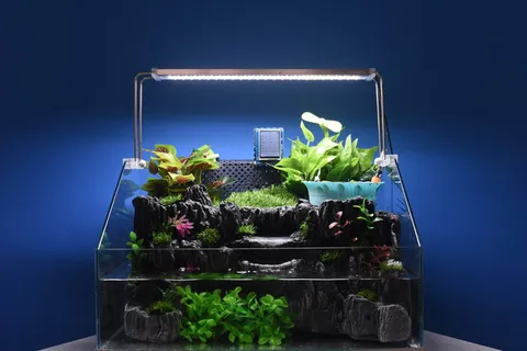 物联网、高科技、智能家居、蓝色、彩色背景、自然、室内、蓝色背景