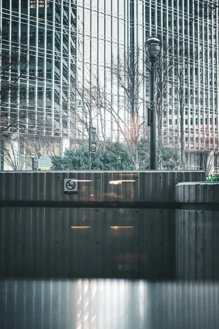 反射, 城市, 冬天, 树, 灯, 灯柱, 亚特兰大, 建筑