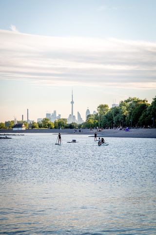 多伦多，6，6ix，城市，自然，酷炫，运动，背景
