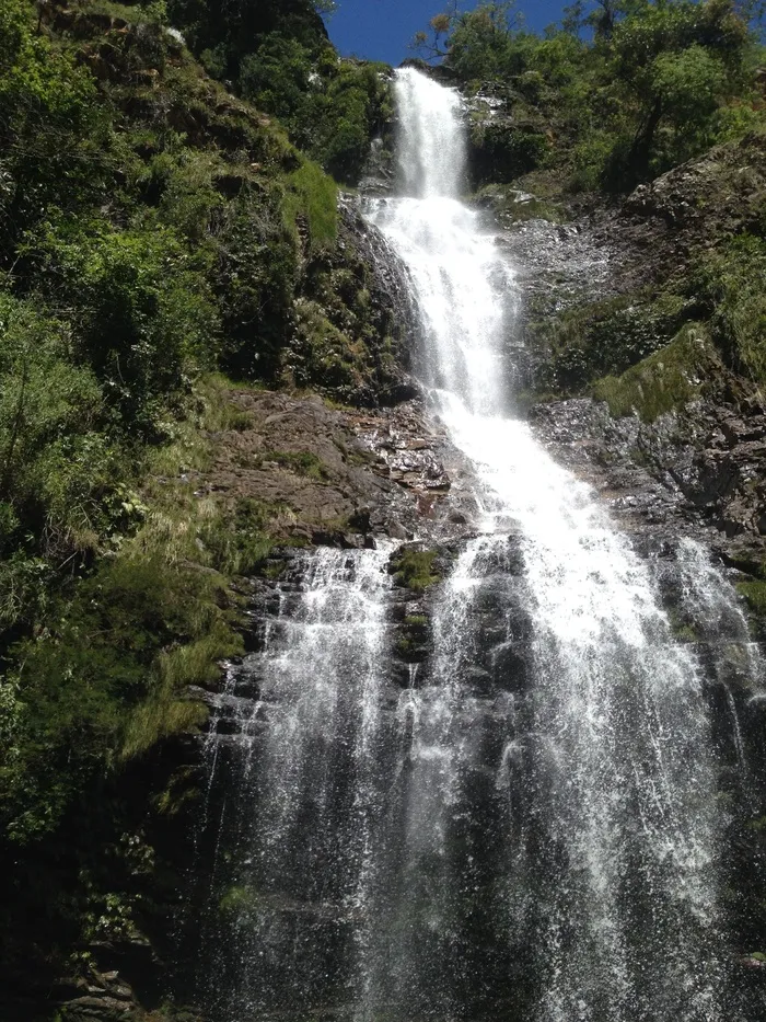 瀑布，看见藤蔓，glam，minas，水，树，风景-自然，运动