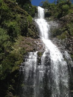 瀑布，看见藤蔓，glam，minas，水，树，风景-自然，运动