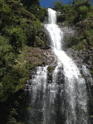瀑布，看见藤蔓，glam，minas，水，树，风景-自然，运动