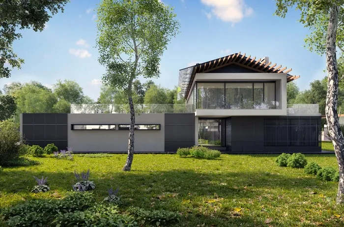 自然、项目、外部、环境、现代、桦树、渲染、植物