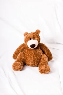 泰迪，泰迪熊，熊，软玩具，填充动物，填充动物，熊，甜