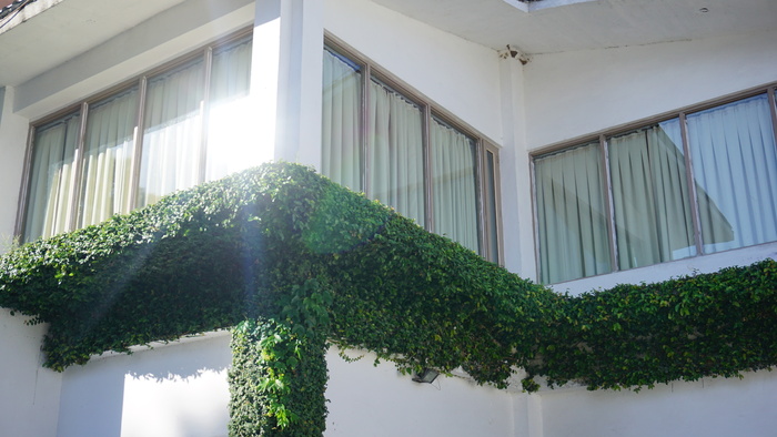 建筑，日光，花园，眩光，玻璃窗，室内设计，光，光眩光