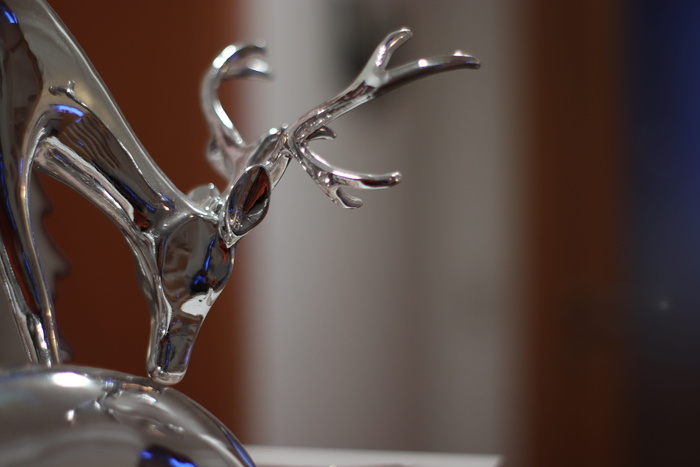 赫希，背景散焦，波基，闪亮，模糊，圣诞节，装饰，特写