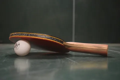 乒乓球,乒乓球,乒乓球拍,运动,球拍,球,乒乓球,球类游戏 乒乓球,乒乓球,乒乓球拍,运动,球拍,球,乒乓球,球类游戏