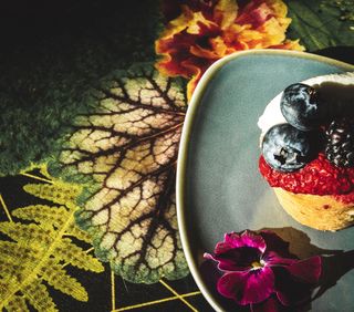 植物，食物，水果，蓝莓，叶，花，花，覆盆子