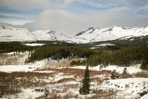 白雪覆盖的地面，松树，灵气云，自然，风景，森林，森林，树木