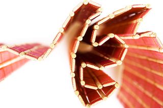 抽象, 背景, 竹, 美丽, 特写, 颜色, 有色