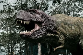 恐龙，白垩纪，古生物学，史前，巨人，生物，野兽，史前