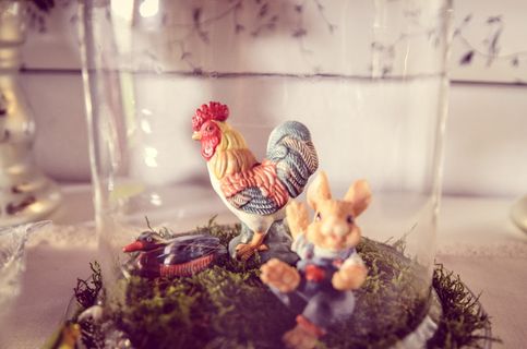 哈恩，野兔，装饰，动物，鸡冠，家禽，农场