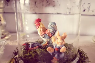 哈恩，野兔，装饰，动物，鸡冠，家禽，农场