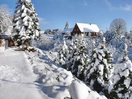 冬季,索普斯多夫,瑞士撒克逊,冬季,白色,寒冷,下雪,低温 冬季,索普斯多夫,瑞士撒克逊,冬季,白色,寒冷,下雪,低温