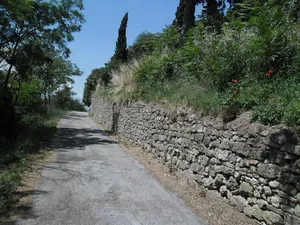 路，墙，上游，五月，小山，植物，方向，前进的道路