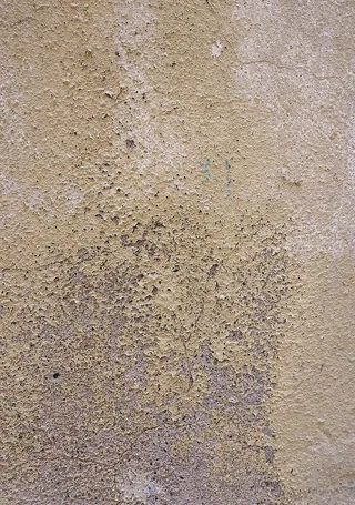 沙子、户外、自然、地面、道路、土路、砾石、地毯