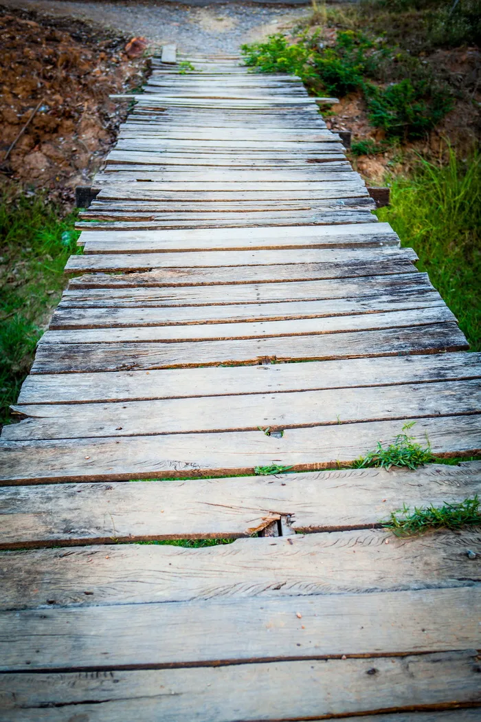 走进，走出，来发现，走了，木质材料，前进的道路，方向，小径