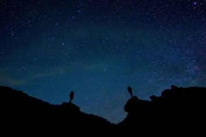 背光，美丽，黎明，黄昏，田园诗，夜晚，夜空，夜景