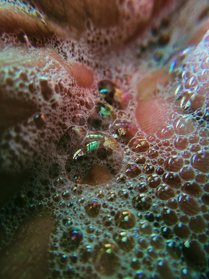 印度，哥印拜陀，第六十字路口，野生动物，野生动物，动物主题，动物，海洋