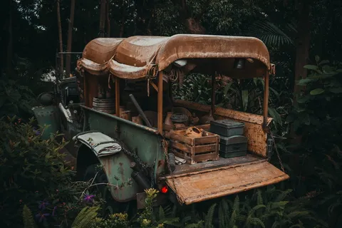 森林中的绿色和棕色车辆