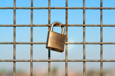 铜色cisa挂锁，金属格栅，爱，锁，一，金属，生锈，铁