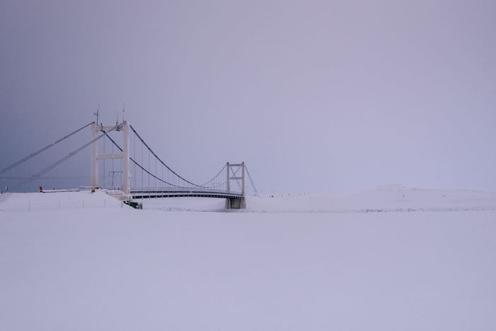 照片，白色，吊桥，覆盖，雪，钢，长，桥