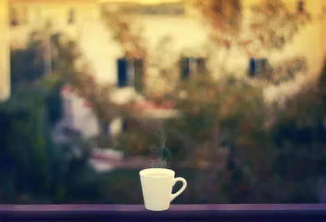 埃及,10月6日城市,早晨,炎热,饮料,冬天,波基,模糊 埃及,10月6日城市,早晨,炎热,饮料,冬天,波基,模糊