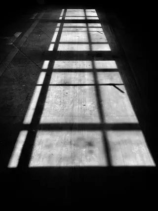 阴影、阳光、无人、白天、木质材料、自然、地板、户外