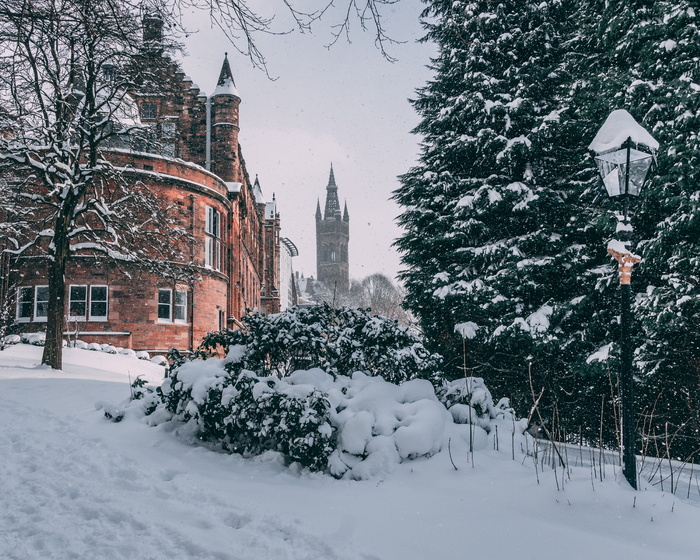 格拉斯哥大学，格拉斯哥，大学，冬天，雪，冷，树，冰冻