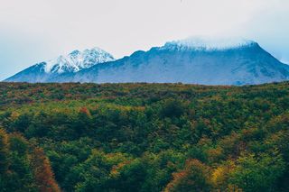 阿根廷、乌斯怀亚、复仇女神、探险家、巴塔哥尼亚、travelin、road、roadtrip