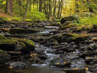 乔治·W·蔡尔德娱乐场的布鲁克。宾夕法尼亚州丁曼渡口。