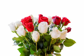 白，红，玫瑰，花束，红玫瑰，胸花，花，玫瑰-花