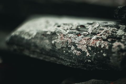 木板的选择性聚焦摄影