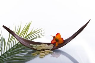 特写照片，橙色，花，棕色，叶子，健康，开花，开花