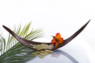 特写照片，橙色，花，棕色，叶子，健康，开花，开花