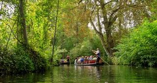 spreewald，吕伯瑙，德国，水，spree，深度，森林，海峡