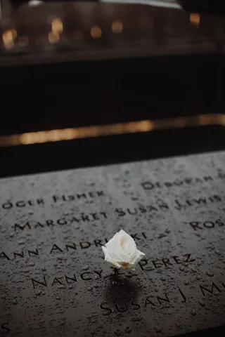 白玫瑰的浅焦摄影